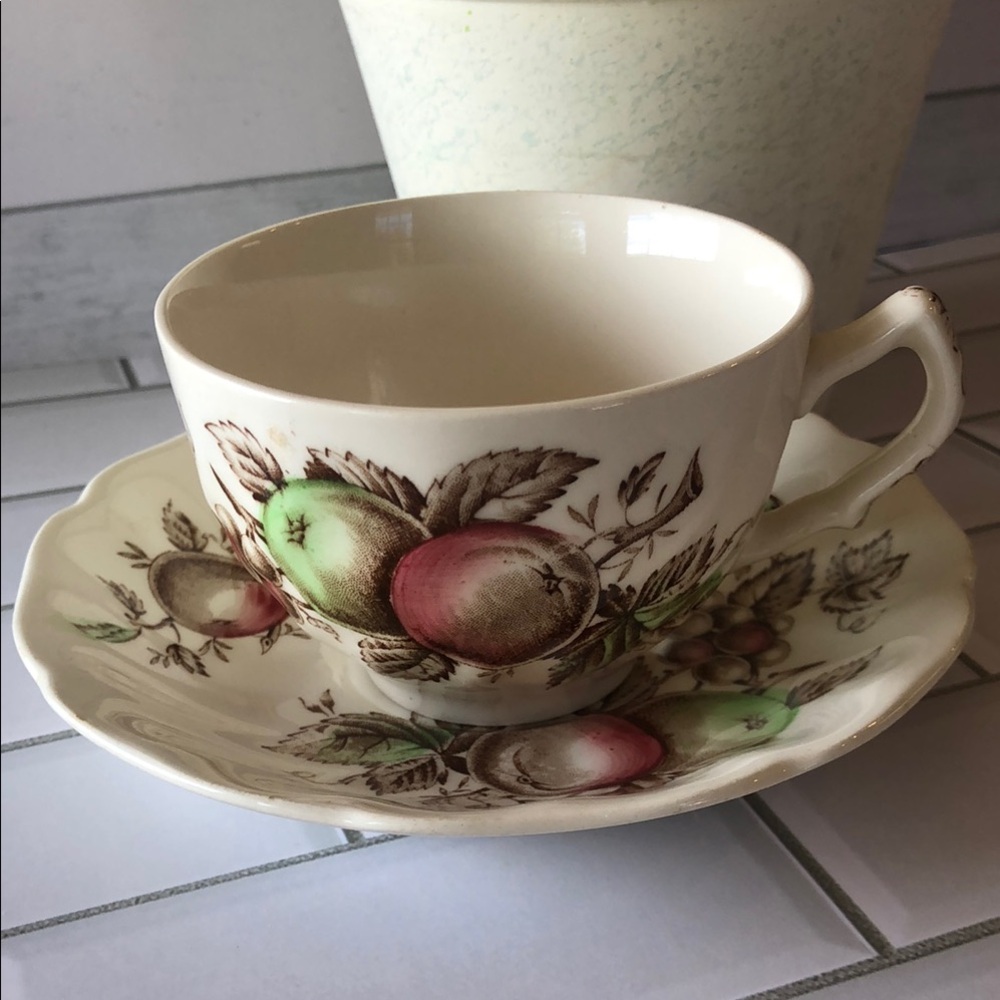 Vintage Fruit Pattern Teacup and Saucer Set - Cream with Green & Pink Apples